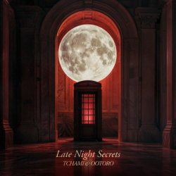 Cover TCHAMI & OOTORO - Late Night Secret
