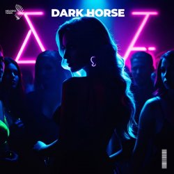 Cover Slawd & Vallvete - dark horse (slowed + reverb)