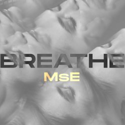 Cover MsE - Time to Let Go