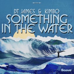 Cover DT James & Kimbo - Something In The Water