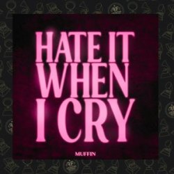 Cover Muffin - Hate It When I Cry