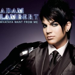 Cover Adam Lambert - Whataya Want From Me
