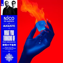 Cover Nico de Andrea & AUGUSTE & Mougleta - What You Thinking Of