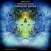 Cover Tangerine Dream - Tear Down The Grey Skies Tangerine Dream - Tear Down The Grey Skies