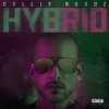 Cover Hybrid - Break My Soul Hybrid - Break My Soul