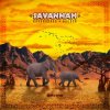 Savannah - Last To Know