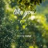 Cover LiQWYD - Like You LiQWYD - Like You