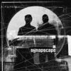 Cover Synapscape - 2nd Sect Synapscape - 2nd Sect
