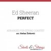 Cover Ed Sheeran - Perfect Duet Ed Sheeran - Perfect Duet
