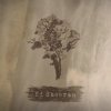 Cover Ed Sheeran - Bloodstream Ed Sheeran - Bloodstream