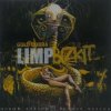 Cover Limp Bizkit - Introbra Limp Bizkit - Introbra