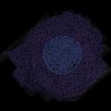Cover Floating Points - Danger Floating Points - Danger
