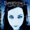 Cover Evanescence - Everybody's Fool Evanescence - Everybody's Fool