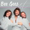 Cover Bee Gees - Man In The Middle Bee Gees - Man In The Middle