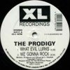 Cover The Prodigy - Minefields (Monkey Mafia Mix) The Prodigy - Minefields (Monkey Mafia Mix)