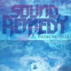 Cover Sound Remedy - Video Games Sound Remedy - Video Games