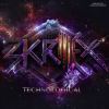 Cover Skrillex - Chicken Soup Skrillex - Chicken Soup