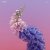 Cover Flume Feat. Kai - Never Be Like You