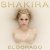 Cover Shakira - Hips Don’t Lie