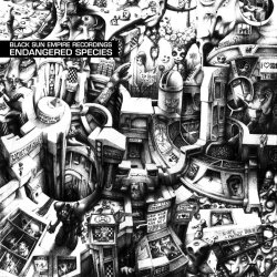 Cover Black Sun Empire - Stranger