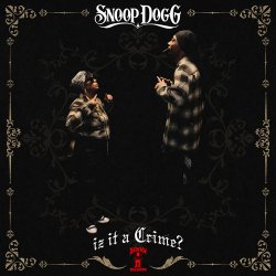 Cover Snoop Dogg - Let Me Love You