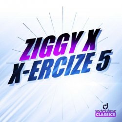 Cover Ziggy X - Vikinx
