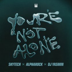 Cover Skytech feat. Alpharock & DJ Yasmin - You’re Not Alone