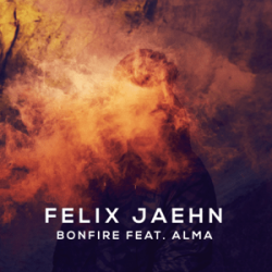 Cover Alma ft. Felix Jaehn - Bonfire (Liya Fran & WilyamDeLove Radio Edit)