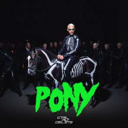 Cover Don Diablo feat. Control Alt Delete - Pony