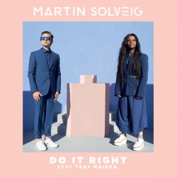 Cover Martin Solveig - Requiem Pour Un Con