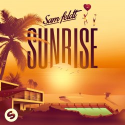 Cover Sam Feldt - All The Things She Said