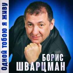 Cover Борис Шварцман - С днем рождения