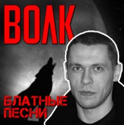 Cover Виталий Волк - Стая