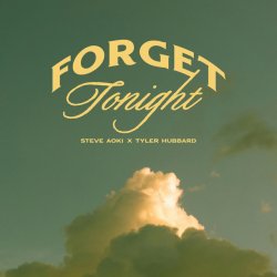 Cover Steve Aoki - Forget Tonight (feat. Tyler Hubbard)