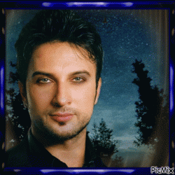 Cover Tarkan - Shikidim