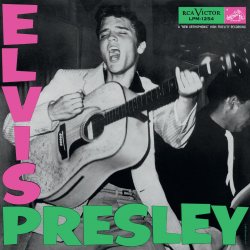 Cover Elvis Presley - Suspicious Minds