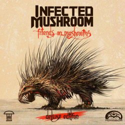 Cover Infected Mushroom - Never Ever Land