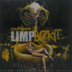 Cover Limp Bizkit - Why Try