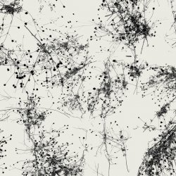 Cover Taylor Deupree - Everything's Gone Grey