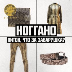 Cover Ноггано - Питон, что за заварушка