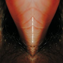 Cover Venetian Snares - Duffy