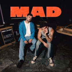 Cover Martin Garrix & Lauv - MAD