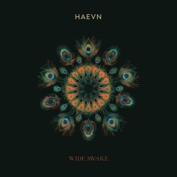 Cover HAEVN & Lily Meola - Till the Morning