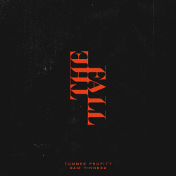 Cover Tommee Profitt & Sam Tinnesz - Daylight