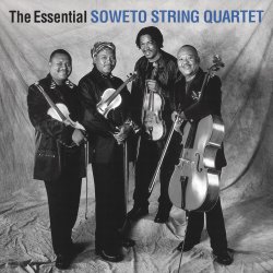 Cover The String Quartet - Paint in black