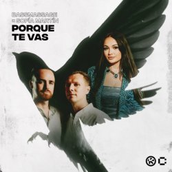 Cover BASSMASSAGE & Sofía Martín - Porque Te Vas