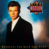 Cover Rick Astley - Never Gonna Give You Up Rick Astley - Never Gonna Give You Up