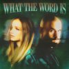 Cover Jackie Hollander & Malóne & Baby Bash - What The Word Is Jackie Hollander & Malóne & Baby Bash - What The Word Is