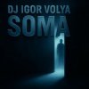 Cover Dj Igor Volya - SOMA Dj Igor Volya - SOMA