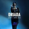 Cover DRIADA - Яд (VELSKY Remix) DRIADA - Яд (VELSKY Remix)